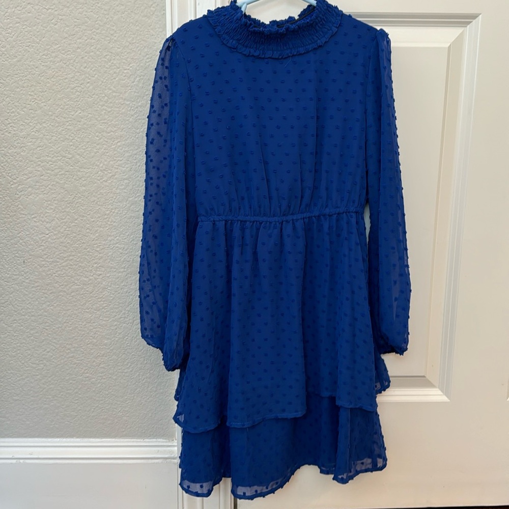 EUC Girls size 10 blue dress poppies and roses brand from Dillards